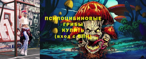 меф Коряжма