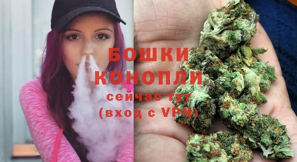 тгк Корсаков