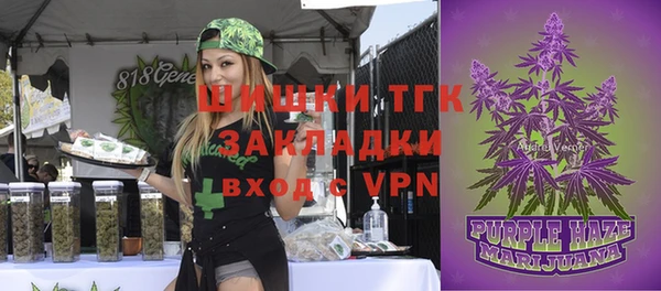 тгк Корсаков