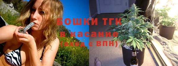 тгк Корсаков