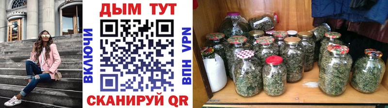 Каннабис OG Kush  Шуя 